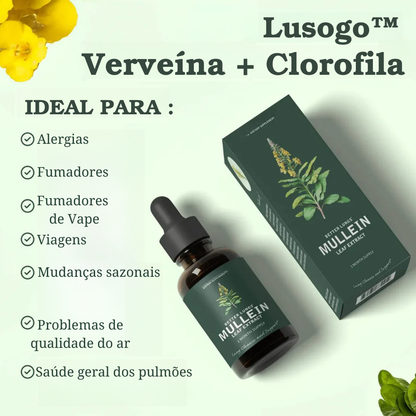 Lusogo Mullein™ + Extrato de Clorofila